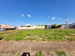 Terreno / Lote / Condomínio para alugar, 650m² no Vigilato Pereira, Uberlândia - Foto 1