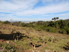 Fazenda / Sítio / Chácara com 5 Quartos à venda, 5000m² no BOSQUE, Vinhedo - Foto 22