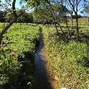 Fazenda / Sítio / Chácara com 3 Quartos à venda, 140m² no Zona Rural, Juquiá - Foto 14