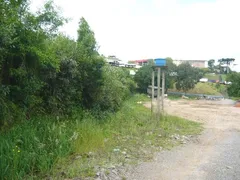 Terreno / Lote / Condomínio para alugar, 3276m² no Diamantino, Caxias do Sul - Foto 6