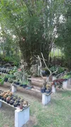 Fazenda / Sítio / Chácara com 3 Quartos à venda, 32000m² no Morro Grande, Araruama - Foto 46