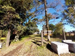 Terreno / Lote / Condomínio à venda, 3850m² no São Vicente, Gravataí - Foto 1