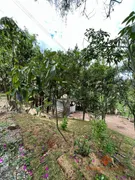 Fazenda / Sítio / Chácara com 3 Quartos à venda, 151m² no Sao Joao Novo, São Roque - Foto 8