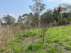 Terreno / Lote / Condomínio à venda, 15000m² no Taboão, São Roque - Foto 36