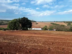 Fazenda / Sítio / Chácara com 3 Quartos à venda, 150m² no Zona Rural, Conchal - Foto 5