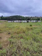 Fazenda / Sítio / Chácara com 4 Quartos à venda, 40000m² no Monte Alegre, Monte Alegre - Foto 12