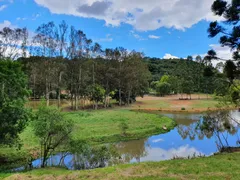 Fazenda / Sítio / Chácara com 5 Quartos à venda, 130000m² no Santa Lúcia do Piaí, Caxias do Sul - Foto 1