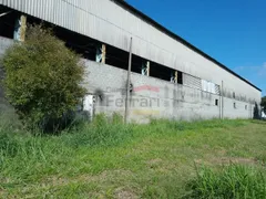 Galpão / Depósito / Armazém para alugar, 7000m² no Cangaíba, São Paulo - Foto 15