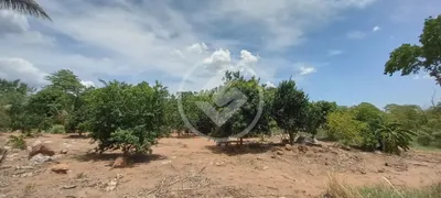 Fazenda / Sítio / Chácara à venda, 4m² no , Barão de Melgaço - Foto 2