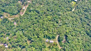 Fazenda / Sítio / Chácara à venda, 10000m² no Borda do Campo, São José dos Pinhais - Foto 13