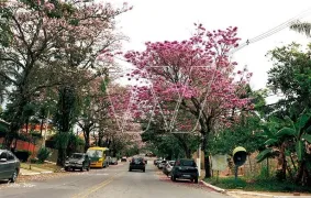 Casa de Condomínio com 4 Quartos à venda, 250m² no Loteamento Caminhos de San Conrado, Campinas - Foto 59