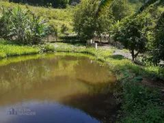 Fazenda / Sítio / Chácara com 4 Quartos à venda, 45000m² no Chacara Paraiso, Nova Friburgo - Foto 11