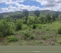 Fazenda / Sítio / Chácara à venda, 484000m² no Setor Central, Heitoraí - Foto 5