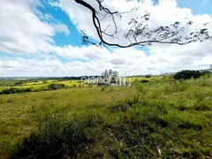 Terreno / Lote / Condomínio à venda no Estancia Grande, Viamão - Foto 10