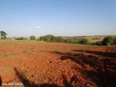 Fazenda / Sítio / Chácara à venda, 54000m² no Centro, Cesário Lange - Foto 2