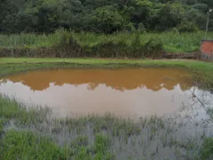 Fazenda / Sítio / Chácara com 4 Quartos à venda, 1330m² no Cocais, Ibiúna - Foto 63