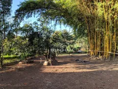 Fazenda / Sítio / Chácara com 2 Quartos à venda, 200m² no Nossa Senhora da Paz, São Joaquim de Bicas - Foto 7