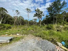 Terreno / Lote / Condomínio à venda, 241m² no Bopiranga, Itanhaém - Foto 1