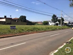 Terreno / Lote / Condomínio para alugar, 1688m² no Cardoso Continuação , Aparecida de Goiânia - Foto 7