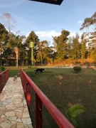 Fazenda / Sítio / Chácara com 4 Quartos à venda, 24200m² no Taiacupeba, Mogi das Cruzes - Foto 8