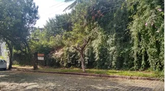 Terreno / Lote / Condomínio à venda, 792m² no Três Figueiras, Porto Alegre - Foto 6