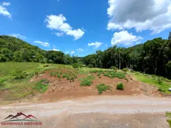 Fazenda / Sítio / Chácara com 3 Quartos à venda, 100m² no Pinhal Alto, Nova Petrópolis - Foto 33