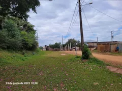 Fazenda / Sítio / Chácara à venda no , Mandaguaçu - Foto 9