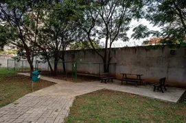Apartamento com 2 Quartos para alugar, 54m² no Vila Moreira, São Paulo - Foto 38