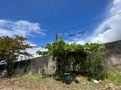 Terreno / Lote / Condomínio à venda, 9000m² no Bongi, Recife - Foto 6