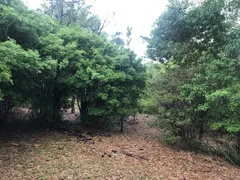 Fazenda / Sítio / Chácara com 3 Quartos à venda, 120m² no Zona Rural, Pirenópolis - Foto 17