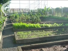 Fazenda / Sítio / Chácara com 6 Quartos à venda, 1m² no Centro, Conchal - Foto 10