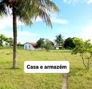 Fazenda / Sítio / Chácara com 3 Quartos à venda, 12000m² no Zona Rural, Lagoa de Pedras - Foto 13