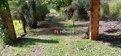 Fazenda / Sítio / Chácara com 4 Quartos à venda, 600m² no Limoeiro, Londrina - Foto 3