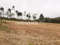 Fazenda / Sítio / Chácara à venda, 270000m² no Chácara Rincao, Cotia - Foto 23