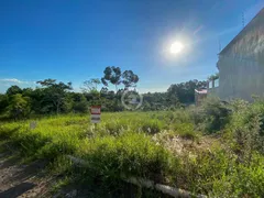 Terreno / Lote / Condomínio à venda, 438m² no Lago Azul, Estância Velha - Foto 4