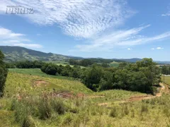 Fazenda / Sítio / Chácara com 1 Quarto à venda, 30000m² no , Faxinal - Foto 10