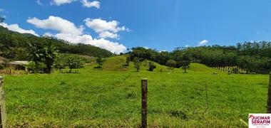 Fazenda / Sítio / Chácara com 2 Quartos à venda, 12m² no Oliveiras, Tijucas - Foto 12