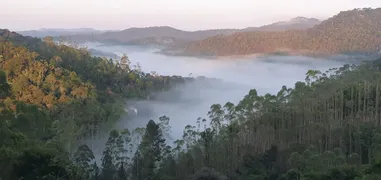 Fazenda / Sítio / Chácara com 4 Quartos à venda, 185000m² no Zona Rural, Marechal Floriano - Foto 25