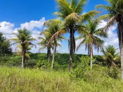 Fazenda / Sítio / Chácara à venda, 150m² no Jabaco, Igarassu - Foto 9