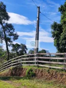 Fazenda / Sítio / Chácara com 2 Quartos à venda, 41800m² no Centro, Campo Alegre - Foto 5