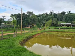 Fazenda / Sítio / Chácara com 2 Quartos à venda, 20000m² no Centro, Piracaia - Foto 29