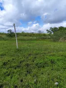 Fazenda / Sítio / Chácara com 3 Quartos à venda, 5000m² no Zona Rural, Monte Alegre - Foto 5