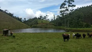 Fazenda / Sítio / Chácara com 2 Quartos à venda, 240000m² no Pouso Alto, Natividade da Serra - Foto 3