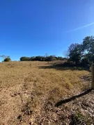 Fazenda / Sítio / Chácara com 3 Quartos à venda, 732000m² no Zona Rural, Jaraguá - Foto 17
