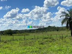 Fazenda / Sítio / Chácara com 1 Quarto à venda, 1780m² no Rural, Curvelo - Foto 17