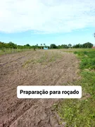 Fazenda / Sítio / Chácara com 3 Quartos à venda, 12000m² no Zona Rural, Lagoa de Pedras - Foto 17