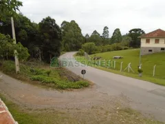 Galpão / Depósito / Armazém para alugar, 900m² no , Flores da Cunha - Foto 5