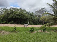 Terreno / Lote / Condomínio à venda, 750m² no Zona Rural, Macaíba - Foto 17