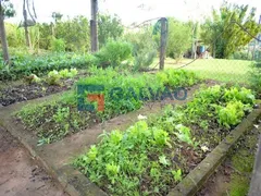 Fazenda / Sítio / Chácara com 4 Quartos à venda, 450m² no Figueira Branca, Campo Limpo Paulista - Foto 17