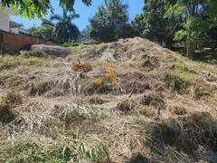 Terreno / Lote / Condomínio à venda, 1000m² no Itanhangá, Rio de Janeiro - Foto 8